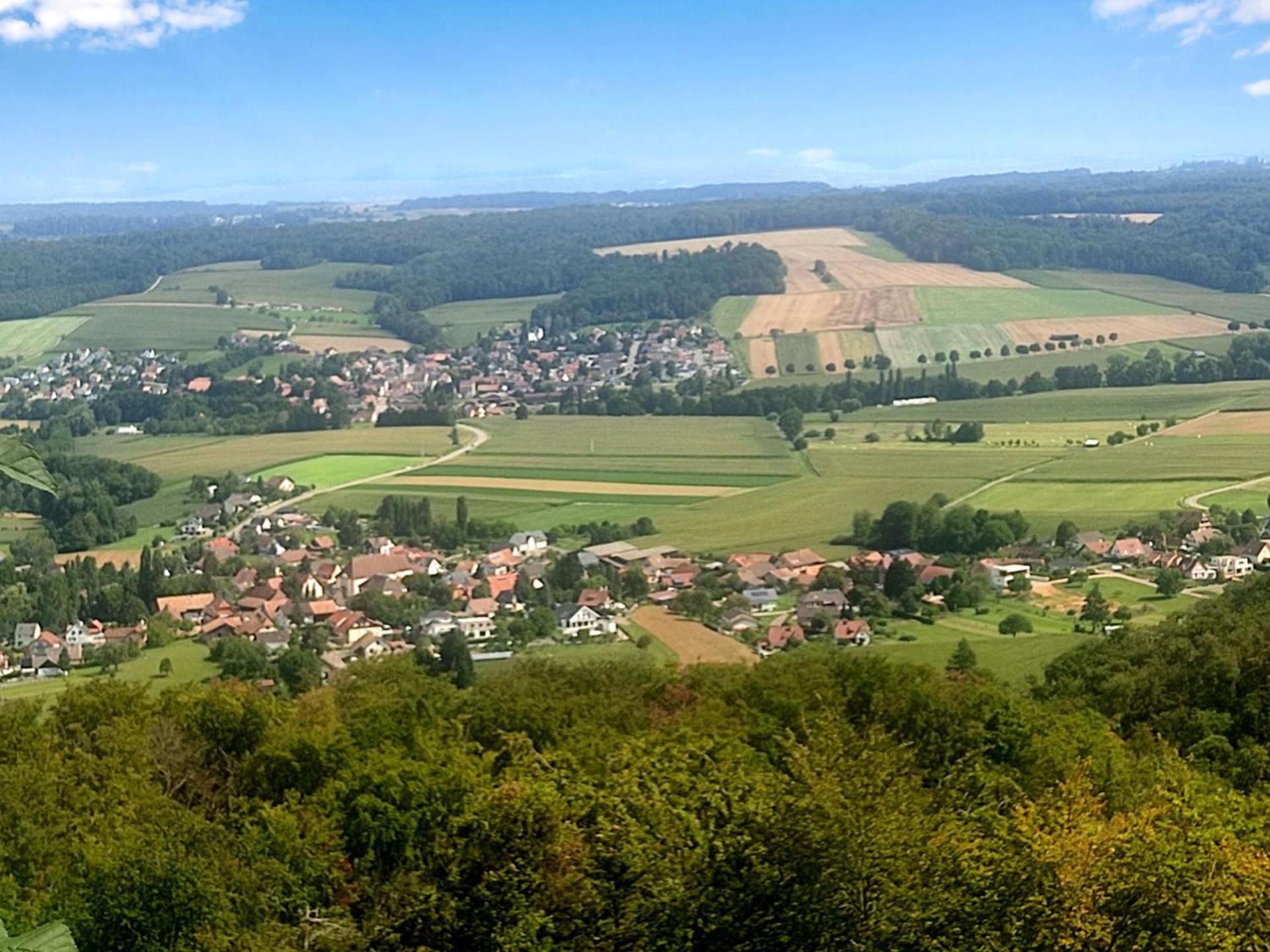 La Grange De La Petite Souris Bouxwiller (Bas-Rhin)